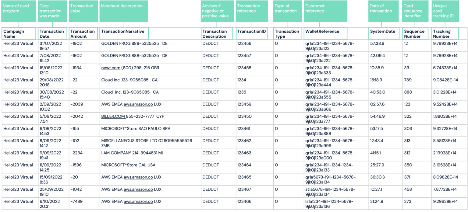 Unsettle Report Layout Unsettled transactions report - Paymentology Sprint Developer